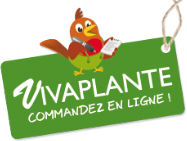 Magento Commerce